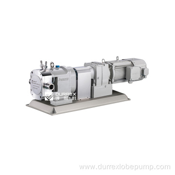 Sauce transfer rotary lobe pump in food industry